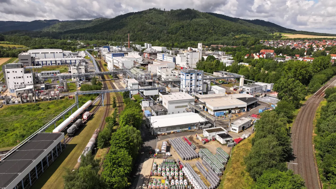 Aerial view of plant.