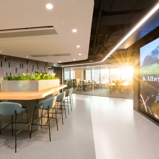 Albemarle office counter